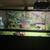 Reptile enclosure 36" x 18" x 18" -NT-40DW 3 thumbnail