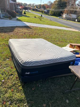 Curb Alert / free bed 1