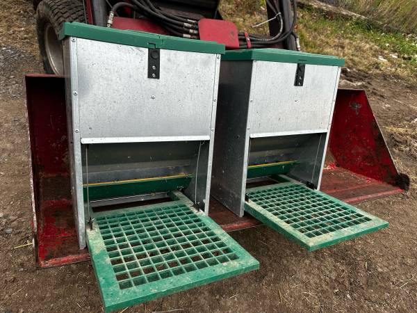 Treadle feeders for poultry 1