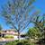 D & A TREE SERVICE FREE ESTIMATES (661)201-4306 21 thumbnail