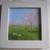 Signed Paintings in Wooden Frame: from Egypt, England and Mongolia 6 thumbnail