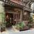 🌿 Botanical & Plant Design for Stores, Restaurants, and Residences 🌿 4 thumbnail