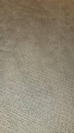Gently Used Wall-to-Wall Carpeting – Clean, No Stains 1