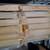 Complete 2 Flow Hive Beekeeping Setup + Extractor + Extras 6 thumbnail