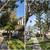 WEST HOLLYWOOD 🌳 Tree & Palm Service 🌴Trimming, Removal, Stump 🪵 8 thumbnail