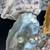 Oyster Shell Jewelry/Trinket dish 3 thumbnail