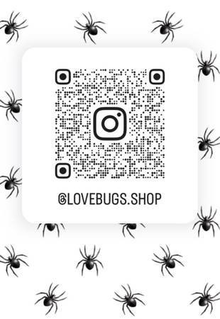 Mascotas amigables araña (El Monte)63867198060929122