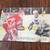 McDonald's 3-D Chris Osgood Hockey Card 1 thumbnail
