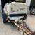 Ingersoll Rand 185 cfm Industrial Compressor - 3 thumbnail