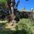 LANDSCAPER y JARDINERÍA “OASIS” 12 thumbnail