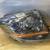 2008-2013 Cadillac CTS Driver Left Headlight 1 thumbnail
