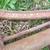 D.B.Smith & Co. Water barrel / trough transfer hand pump 4 thumbnail