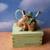 Marjolein Bastin Garden Bunny Trinket Box 1 thumbnail