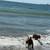 Dog walking/ pet sitting 2 thumbnail
