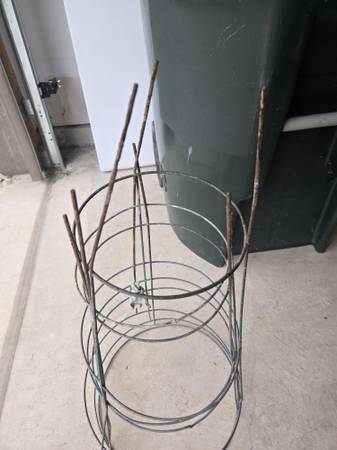 Metal Trellis for Climbing Roses or Tomotes - $5 (Kyle)63471405361923121