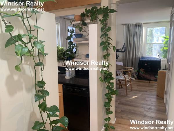 HARVARD SQUARE SUNLIT UPPER FLOOR IN-UNIT LAUNDRY FEB 1 1