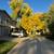 3B/3B Townhome To Share 15 thumbnail