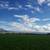 Colorado Dream Retreat: 20 Acres, Privacy, Stunning Mountain Views 4 thumbnail