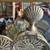 Vintage Solid Brass Shell Folding Fan Fire Screen Rare and Collectable 3 thumbnail