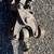 Ridgid 206 Soil Pipe Cutter 3 thumbnail
