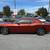 2023 Dodge Challenger GT - No Accidents, Plus Group, Navigation 7 thumbnail