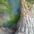 Large Custom Reptile/Animal Cage 19 thumbnail