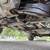 2000 lexus lx470 7 thumbnail
