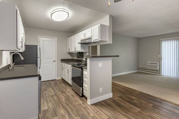 $2,725 / 1br - 710ft2 - Now Leasing! Remodeled 1Bedroom 1bath-Pool View. (san jose east)63785477177601123