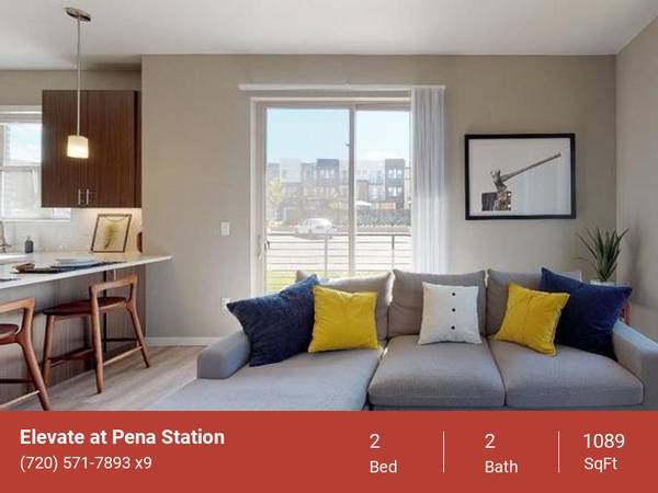 Elevate Your Lifestyle with Rooftop Pool Access 1