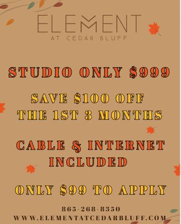 $999 / 480ft2 - Studio only $999!!!🤑 Plus 📺Cable & Internet included! 📺 (Knoxville)63815694803201120
