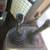 2000 John Deere 624H Wheel Loader 9 thumbnail