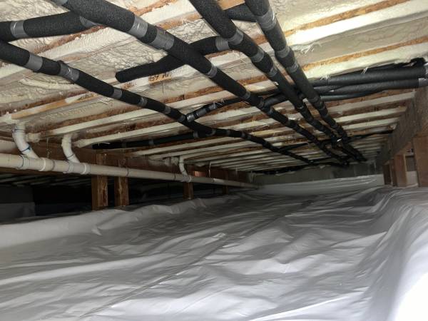 Crawlspace and attic, clean out and install 1
