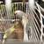 Rehoming parakeets 7 thumbnail
