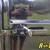 New 2026 7x14x24" PJ Trailers Quest (D7) Dump Trailer 15 thumbnail