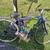 Giant mountain bike 4 thumbnail