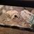 Leopard gecko w/Enclosure and accessories 10 thumbnail