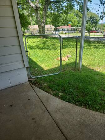 Rehome (Huntsville)64151734489729124