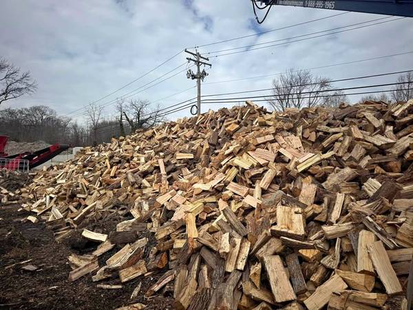 Firewood Seasoned Oak True Heavy Cords 1