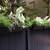 Plant Professionals - Outdoor & Indoor 19 thumbnail