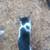 I have kittens needing homes 3 thumbnail