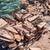 Premium firewood delivery 3 thumbnail