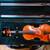 Eastman 3/4 violin with boxwood and upgraded bow 1 thumbnail