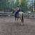 3 year old gelding 5 thumbnail