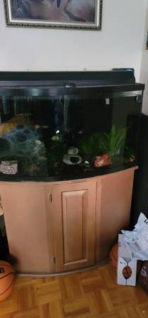 45 Gal Bow Front Tank 1