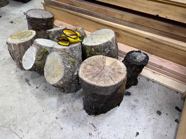 Logs wanted for my wood lathe 1