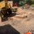 TREE &STUMP GRINDING &STUMP REMOVAL SERVICE 8 thumbnail