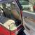LOW Mileage 2005 Audi A6, 74K. 5 thumbnail
