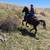 Horseback Adventure - Lesson and Pics included 7 thumbnail
