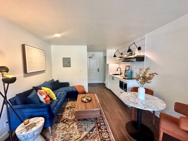 $1,295 / 1br - 343ft2 - 1 Bedroom Move In Ready and 1 month free63698277030531123