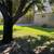 Spacious 4BR/3BA in Sharyland ISD! 10 thumbnail
